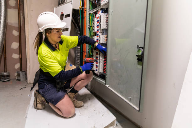 Best Electric Panel Repair  in Northlakes, NC